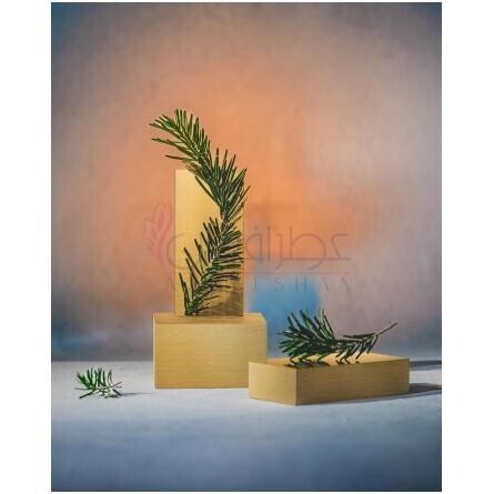 Mandarine Fauve-آتلیه کلن ماندارین فاو