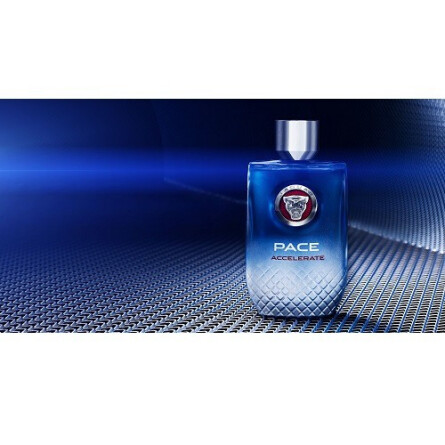 Pace Accelerate-جگوار پیس اکسلرت