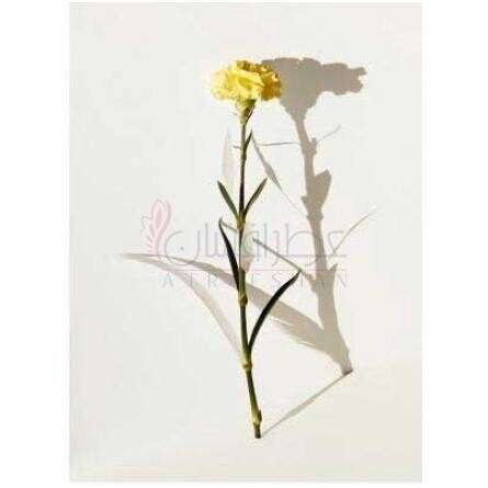 L'Air du Temps Zénith-نینا ریچی له ایر دو تمپس زنیت