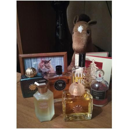 Fourreau Noir-سرج لوتنس فوریو نویر