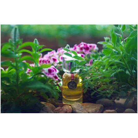 Prends Garde a Toi-ایگوفکتو پریندس گرید ا توی