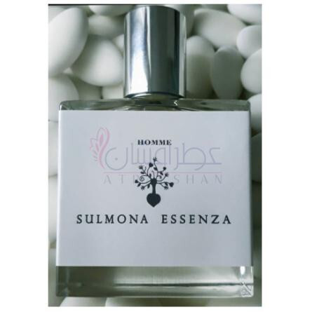 Homme-سولمونا اسنزا هوم