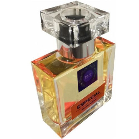 Especial-سونیک الکمی (الچمی) اسپشیال