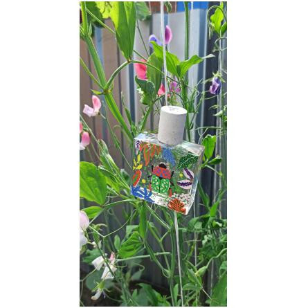 Nature Insolente-میسون ماتین نیچر اینسولنت