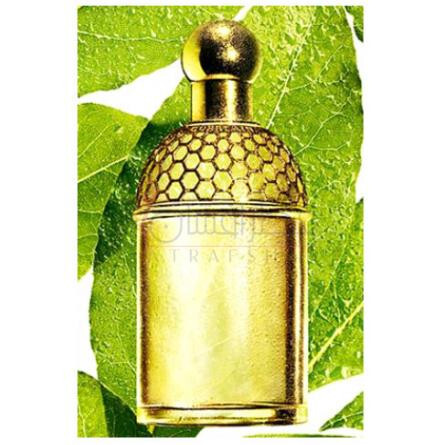 Aqua Allegoria Laurier - Reglisse-گرلن اکوا الیگوریا لاریر رگلیس