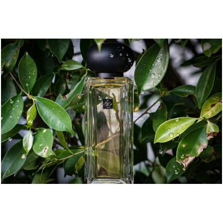 Golden Needle Tea-جو مالون گلدن نیدل تی