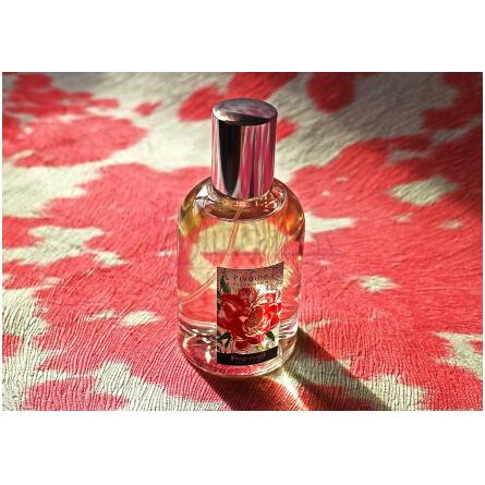 Pivoine-فراگونارد پیوون