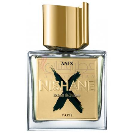 Ani X-نیشان انی ایکس