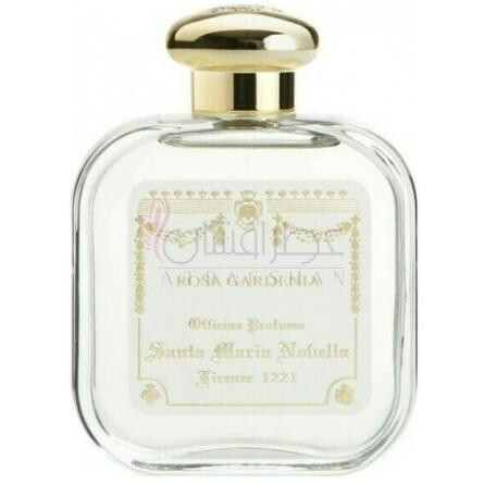 Rosa Gardenia-سانتا ماریا نوولا رز گاردنیا