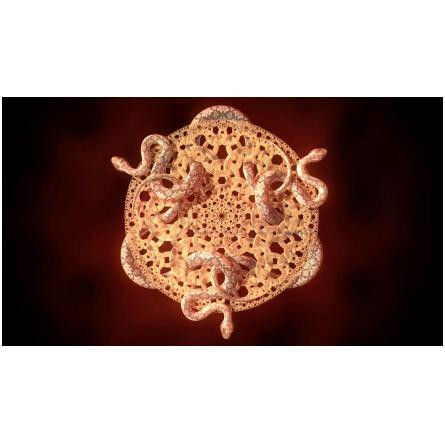 Gümüş-جَنیوئری سن پروجکت گامس