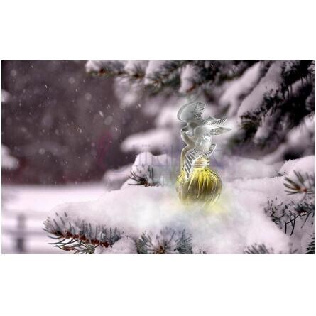 L'Air du Temps Zénith-نینا ریچی له ایر دو تمپس زنیت