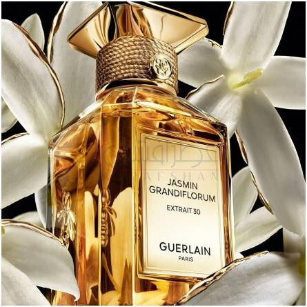 Jasmin Grandiflorum Extrait 30-گرلن جاسمین گرندی فلوروم اکستریت 30