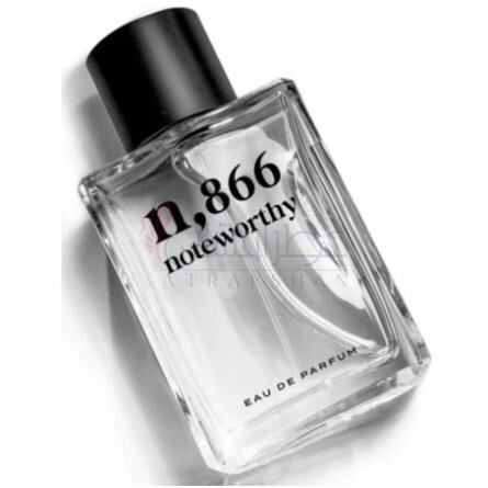 n,866-نوت وورتی ان 866