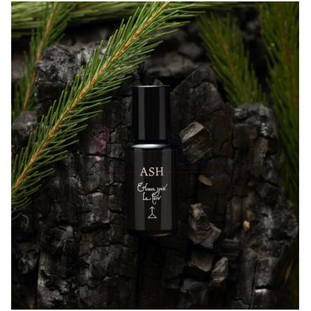 Ash-لا کویری اش