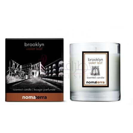 Brooklyn Violet Leaf-نوماتيرا بروکلین ویولت لیف
