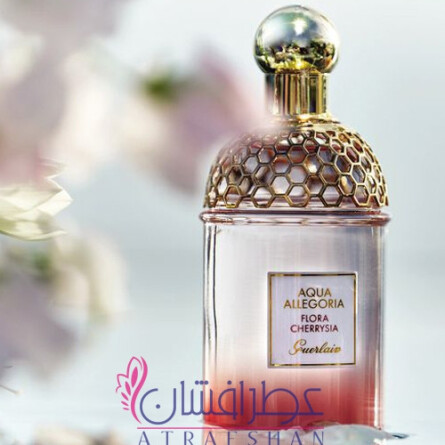 guerlain allegoria flora cherrysia