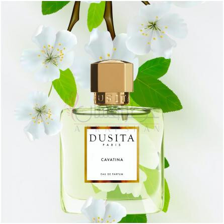 Cavatina-دوسیتا کاواتینا