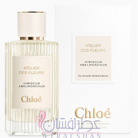 Hibiscus Abelmoschus-کلوهه هيبيسكوس ابلموشس