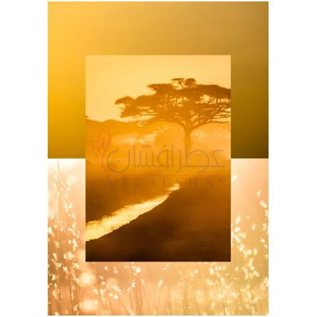 Kruger-آکوالیس کروگر