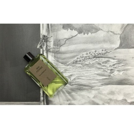 Iris Cendre-نائومی گودسیر ایریس سندر