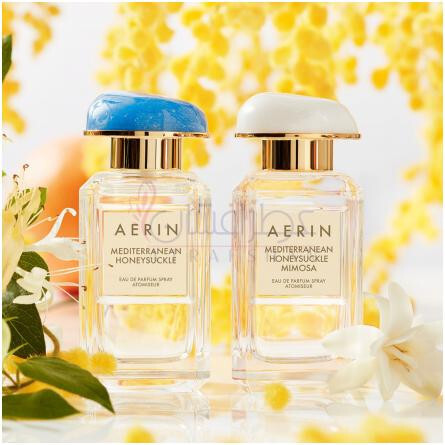 Aerin Lauder