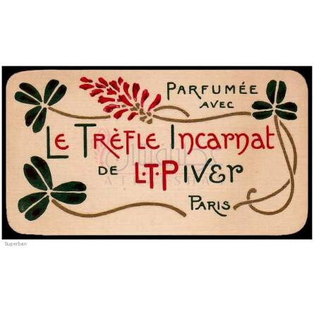 Trèfle Incarnat-ال تی پایور تریفل اینکارنت