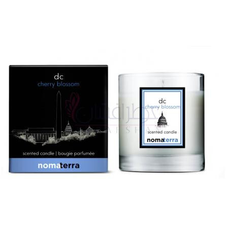 DC Cherry Blossom-نوماتيرا دی سی چری بلوسوم