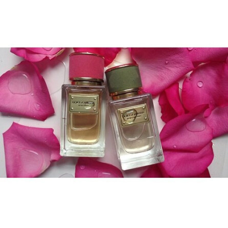 Velvet Rose-دولچه گابانا ولوت رز