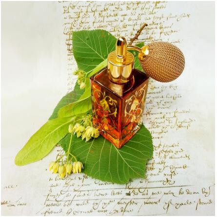 Sonnet 18-آنت نوفر سونت