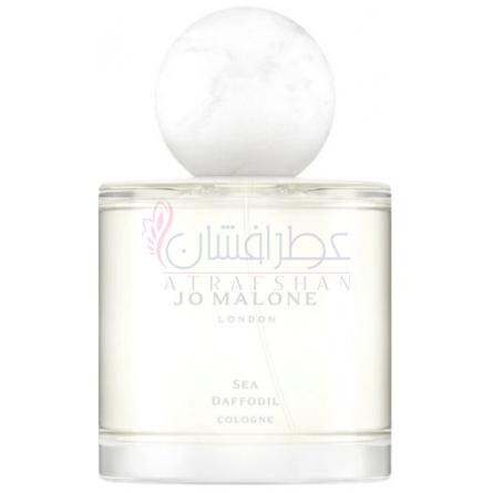 Sea Daffodil-جو مالون سی دافودیل