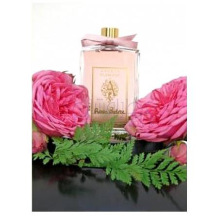 Rose Poudree-انجلا فلاندرز رز پودری