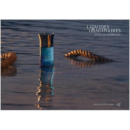 Navis-له لیکویید ایمجینر نویس