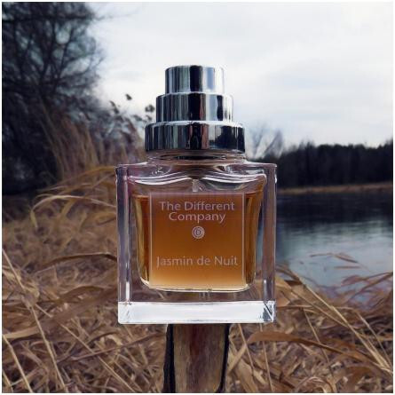 Jasmin de Nuit-دیفرنت کمپانی جاسمین د نویت