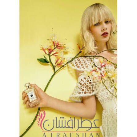 Honeysuckle & Davana-جو مالون هانیساکل (هانی ساکل) اند داوانا