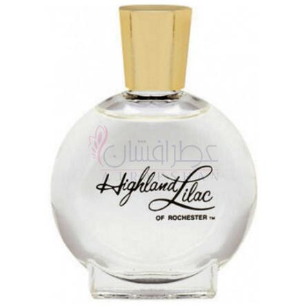 Highland Lilac-هایلند لیلاک اف روچستر هایلند لیلاک