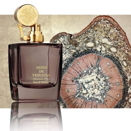 Palissandre d'Or-آیدس د ونوستاس پالیساندر دیباپروتو
