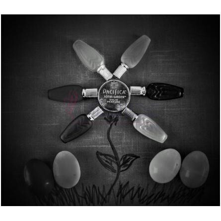 Lotus Garden-پسیفیکا لوتوس گاردن