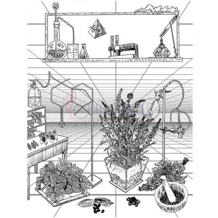 Mousse II-اولیور اند کو موس 2