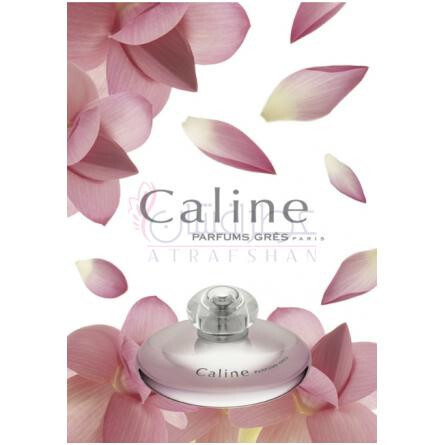 Caline-گرس کالین