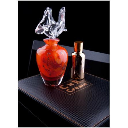 Fire Aries-سی ان آر کریت فایر اریس