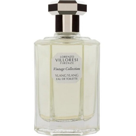 Ylang Ylang-لورنزو ویلورسی یلانگ یلانگ