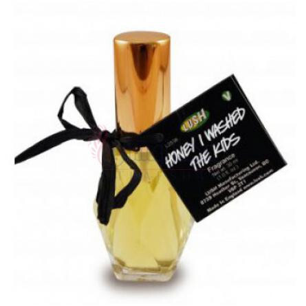 Honey I Washed the Kids-لاش هانی ای واشد د کیدز