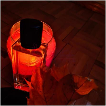 Delusion-جی ام پی ارتیسان پرفیومز دلوژن