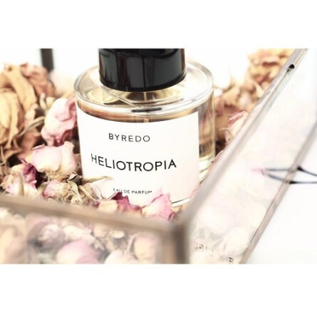 Heliotropia-بیره دوهلیوتروپیا