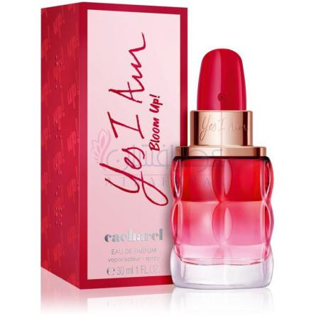 Yes I Am Bloom Up!-کاشارل یس ای ام بلوم آپ