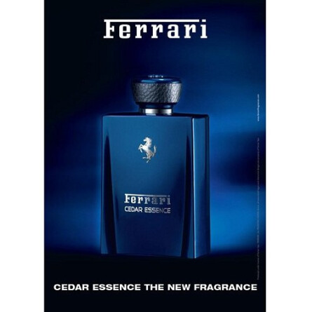 Ferrari best sale cedar essence