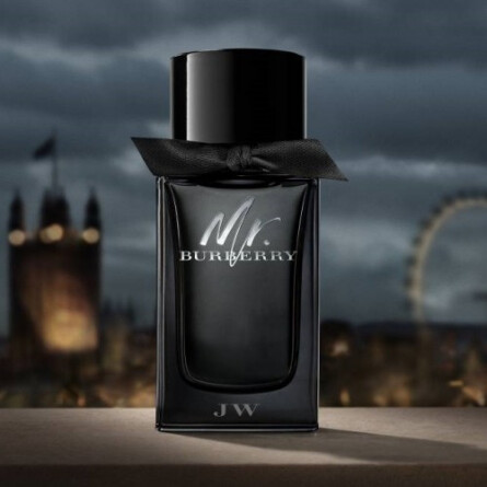 Mr burberry eau de parfum new arrivals