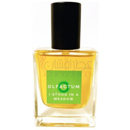 I Stood In A Meadow-الفکتوم 1 استود این د میدو