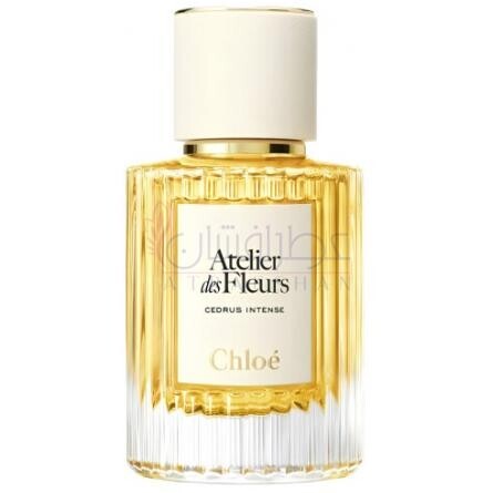 Cedrus Intense-کلوهه سدروس اینتنس