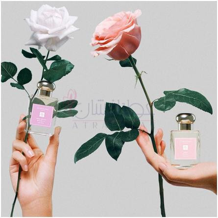 Rose Blush Cologne (2023)-جو مالون رز بلاش کلن 2023